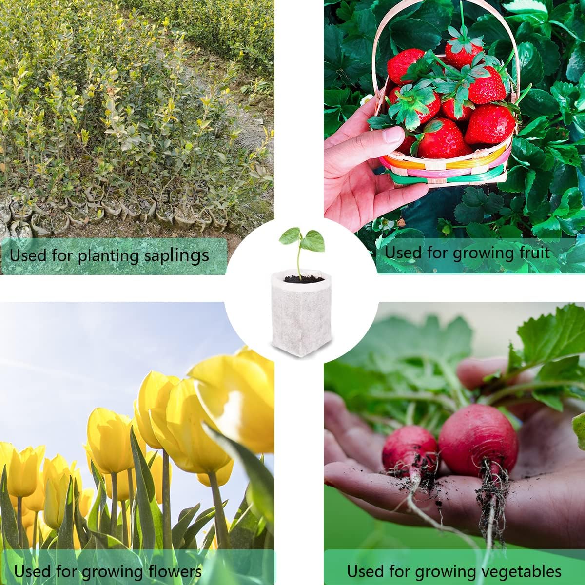 gardtree Plant Nursery Bags 11.7” x 13.5” 100PCS, Non-Woven Biodegradable Plant Grow Bags Fabric Seedling Starter for Vegetable Flower Fruit Saplings Tree, Home Garden Supply