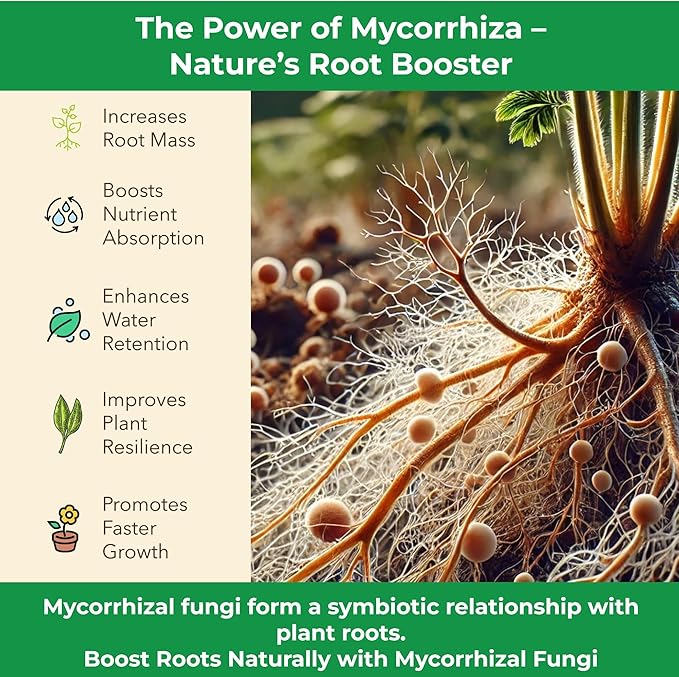 Organic Original Super Soil Concentrate with Mycorrhizae – Living Soil Boosts Roots & Buds for Seeds & Clones - Indoor & Outdoor Growing - Mix 1:4 with Topsoil Potting Soil (2 quarts)