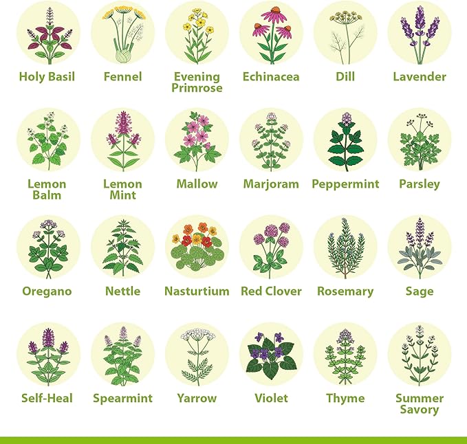 Gardening Gift for Women – 39 Medicinal Herb Seeds Variety Pack, Heirloom Non-GMO, Made in USA, Botanical Gift Set