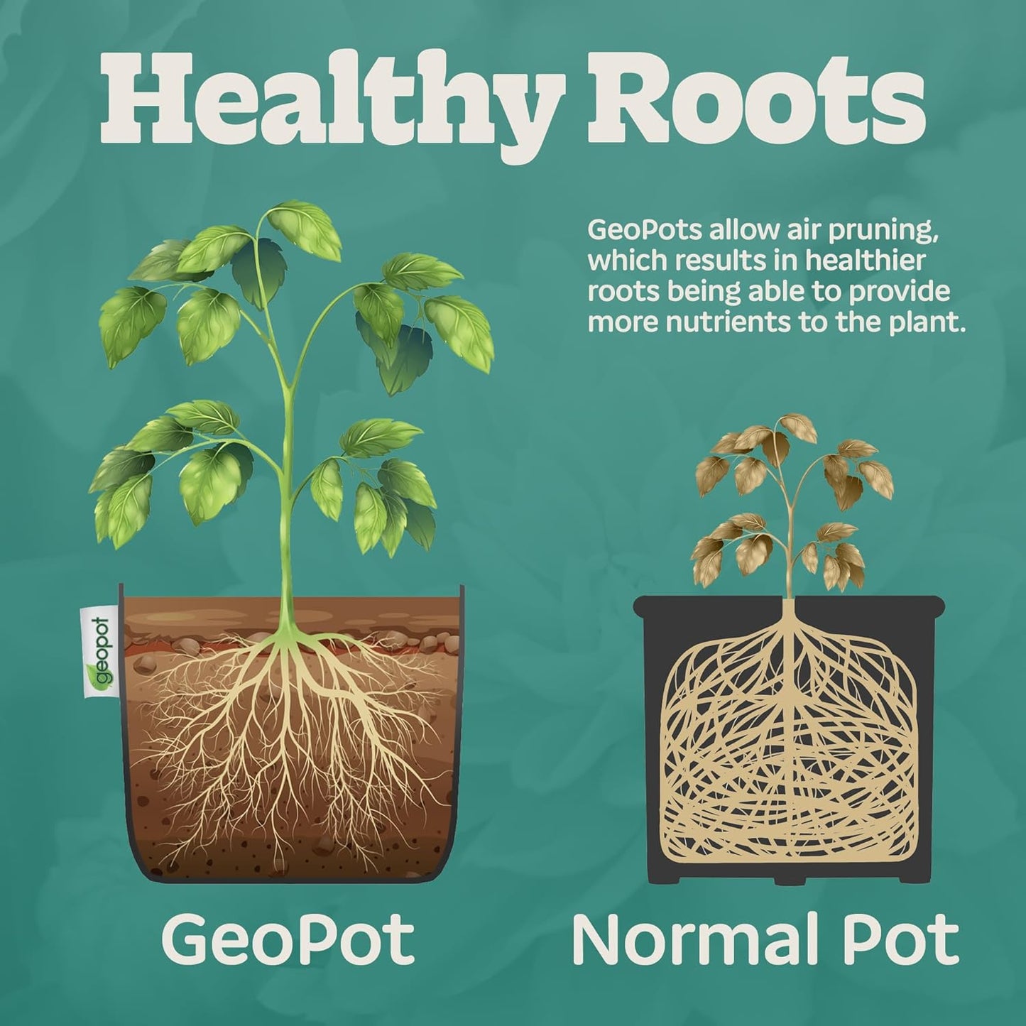 2 Gallon Fabric Grow Bags with Handles for Vegetables, Houseplants, Herbs & Flowers | 10-Pack | Fabric Pots for Outdoors and Indoors, Aerated Fabric Grow Bags