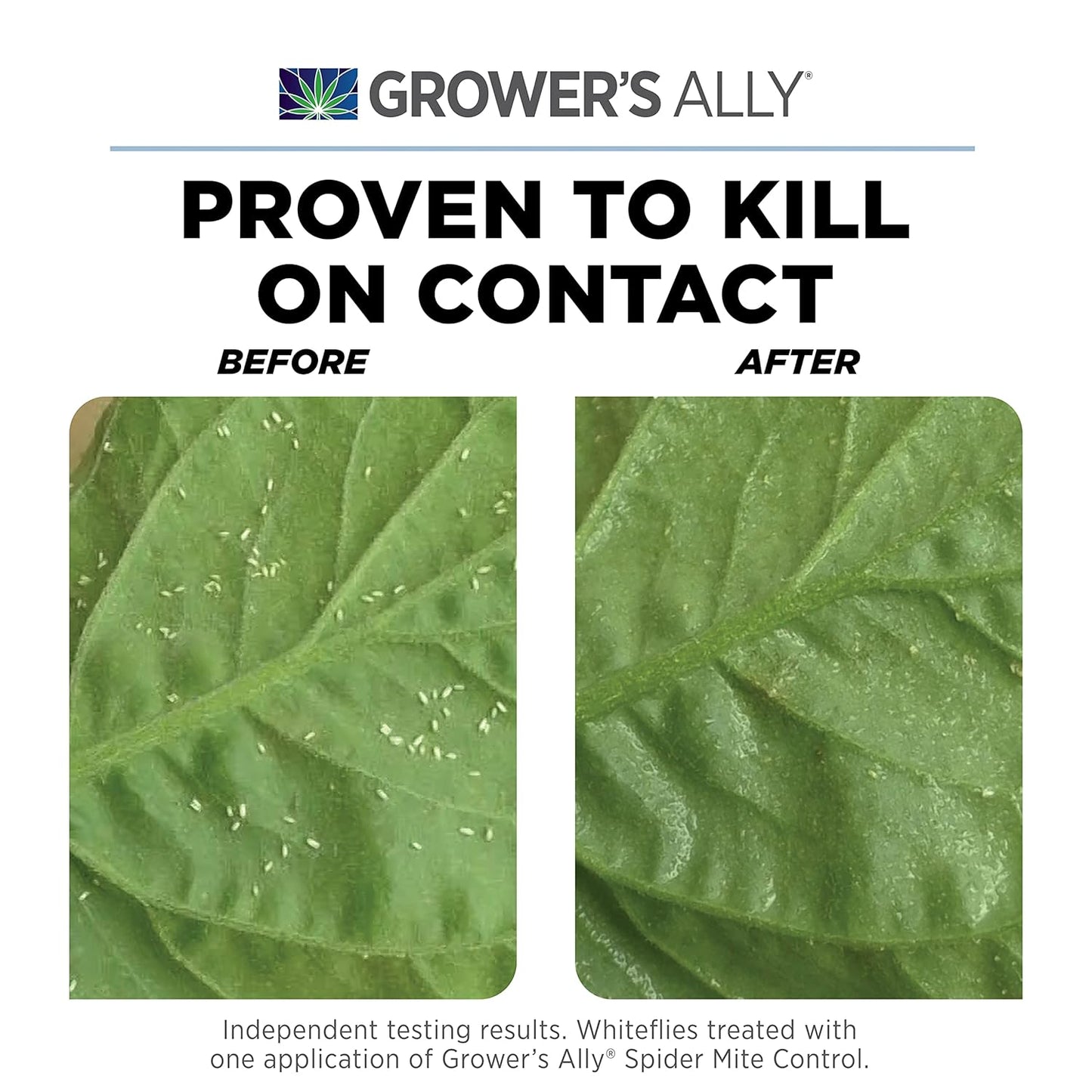 Grower's Ally Spider Mite Control Spray Ready to Use 24 oz | Natural Spider Mite & Insect Killer with Rosemary Oil - Trusted by Cultivators for Indoor and Outdoor Use, OMRI Listed