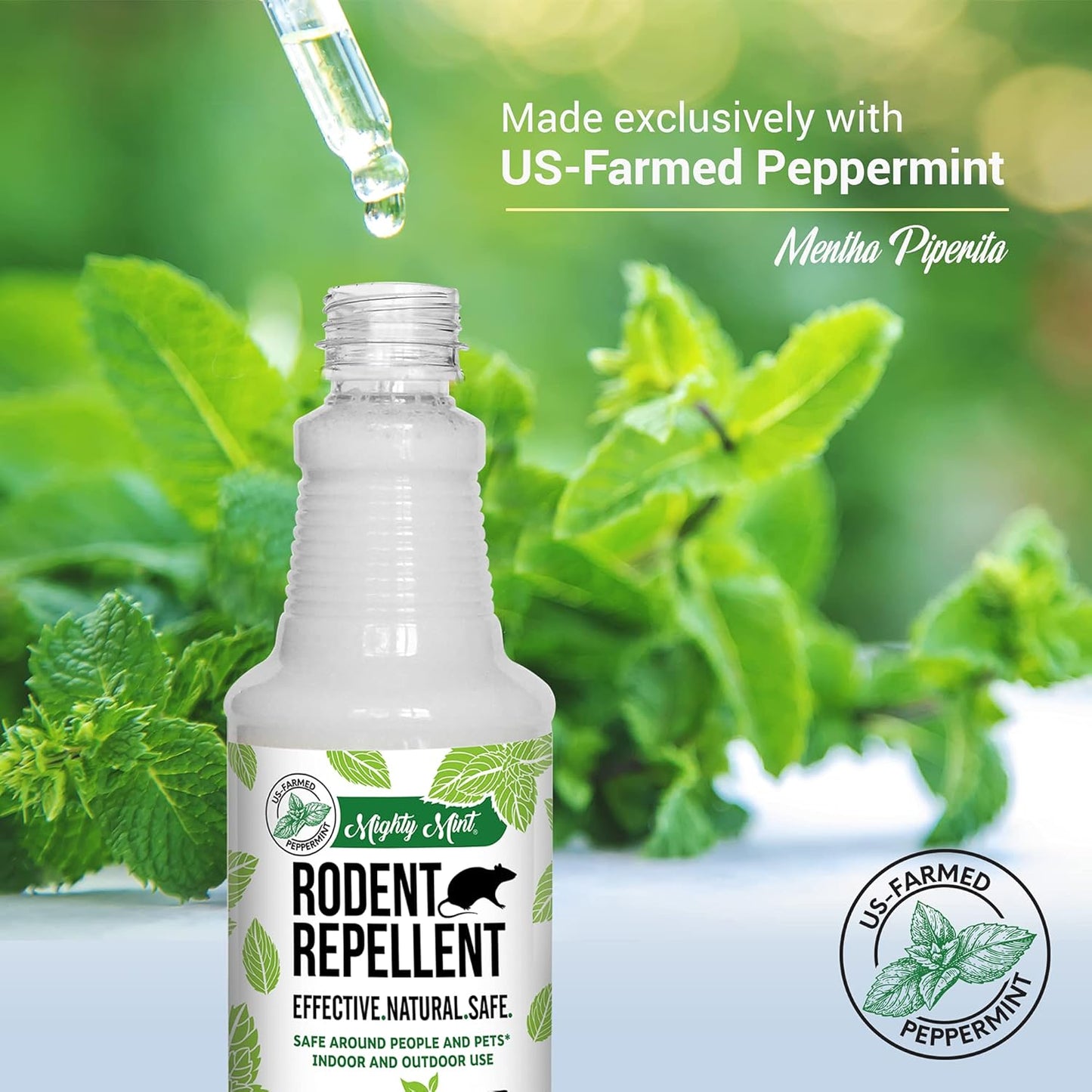 Mighty Mint Peppermint Oil Rodent Repellent Spray – Natural Indoor & Outdoor Control for Mice and Rats – Plant-Based, Extra-Strong Formula - 16 oz (Pack of 2)