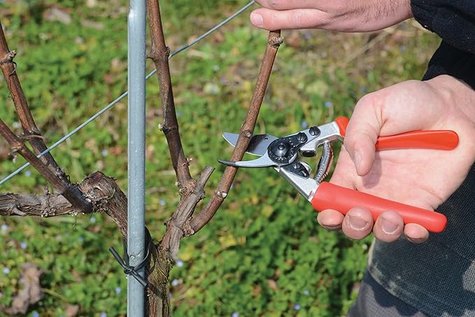 Felco F-12 Pruning Shears – 7.9" Garden Clippers with Anvil & Bypass Blades | Hand Pruners for Gardening | Garden Tool Cutter with Forged Aluminum Handle, Alloy Steel Blade, Medium Hand Fit