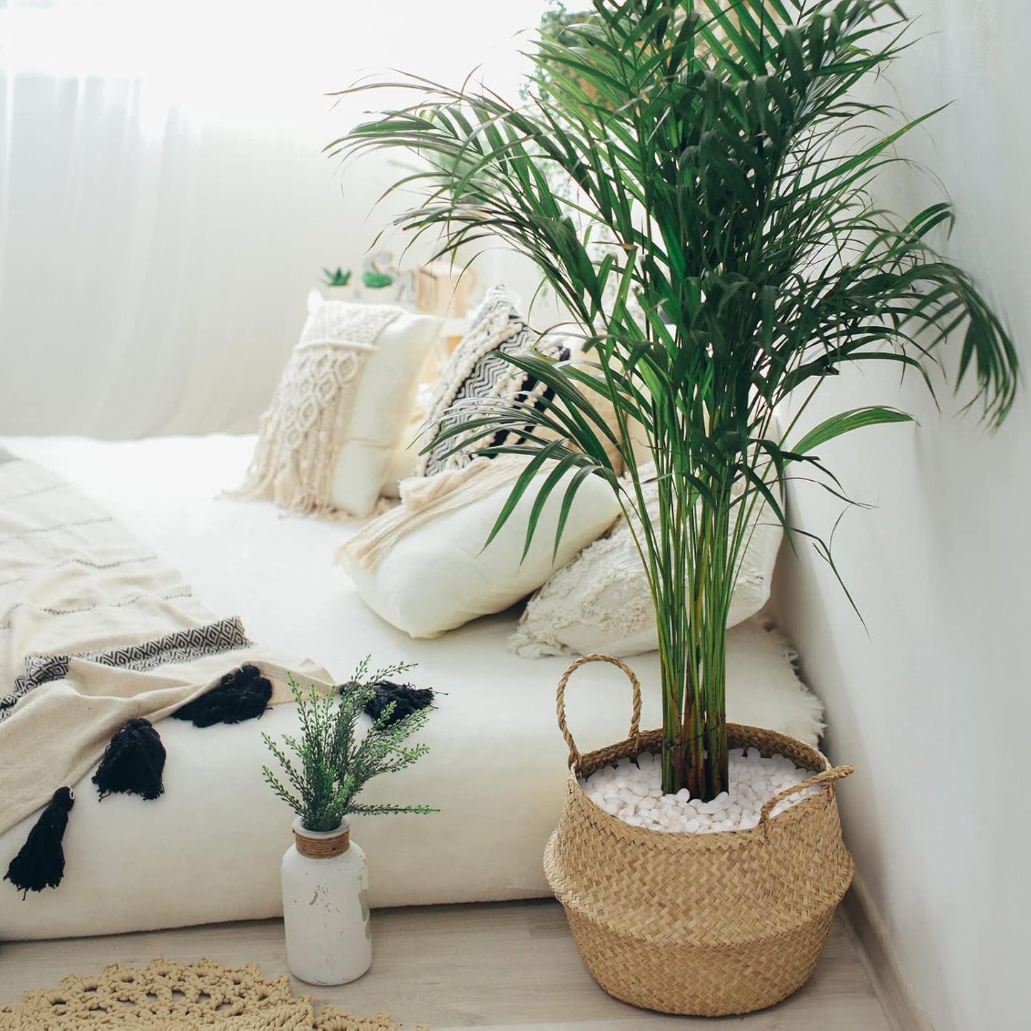 GASPRO 2.5 Pound Pebbles for Indoor Plants, 3/8" Decorative White Rocks for Vases, Planters, Succulents, Highly Polished Aquarium Gravel, Smooth Surface and Fade Resistant