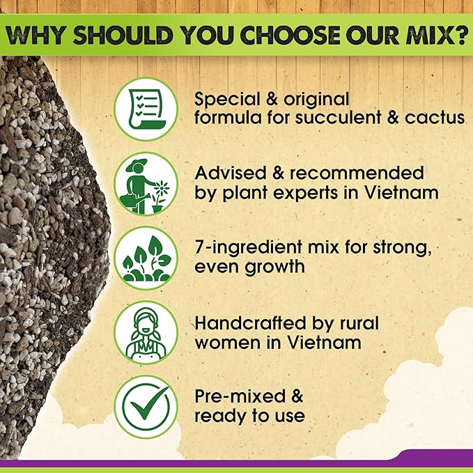 DUSPRO Succulents Soil Potting Mix – 7 in 1 Ingredients Well-Draining, Nutrient-Rich Cactus Potting Soil for Succulents and Cacti, Indoor & Outdoor Use, Ready to Use, Supports Healthy Root Growth, 2QT