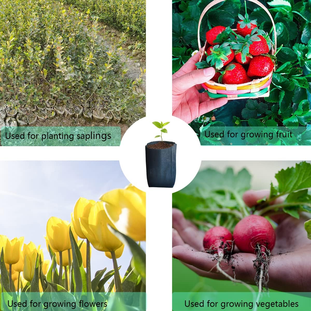 gardtree Plant Nursery Bags 6.3” x 7” 200PCS, Non-Woven Biodegradable Plant Grow Bags Fabric Seedling Starter for Vegetable Flower Fruit Saplings Tree, Home Garden Supply