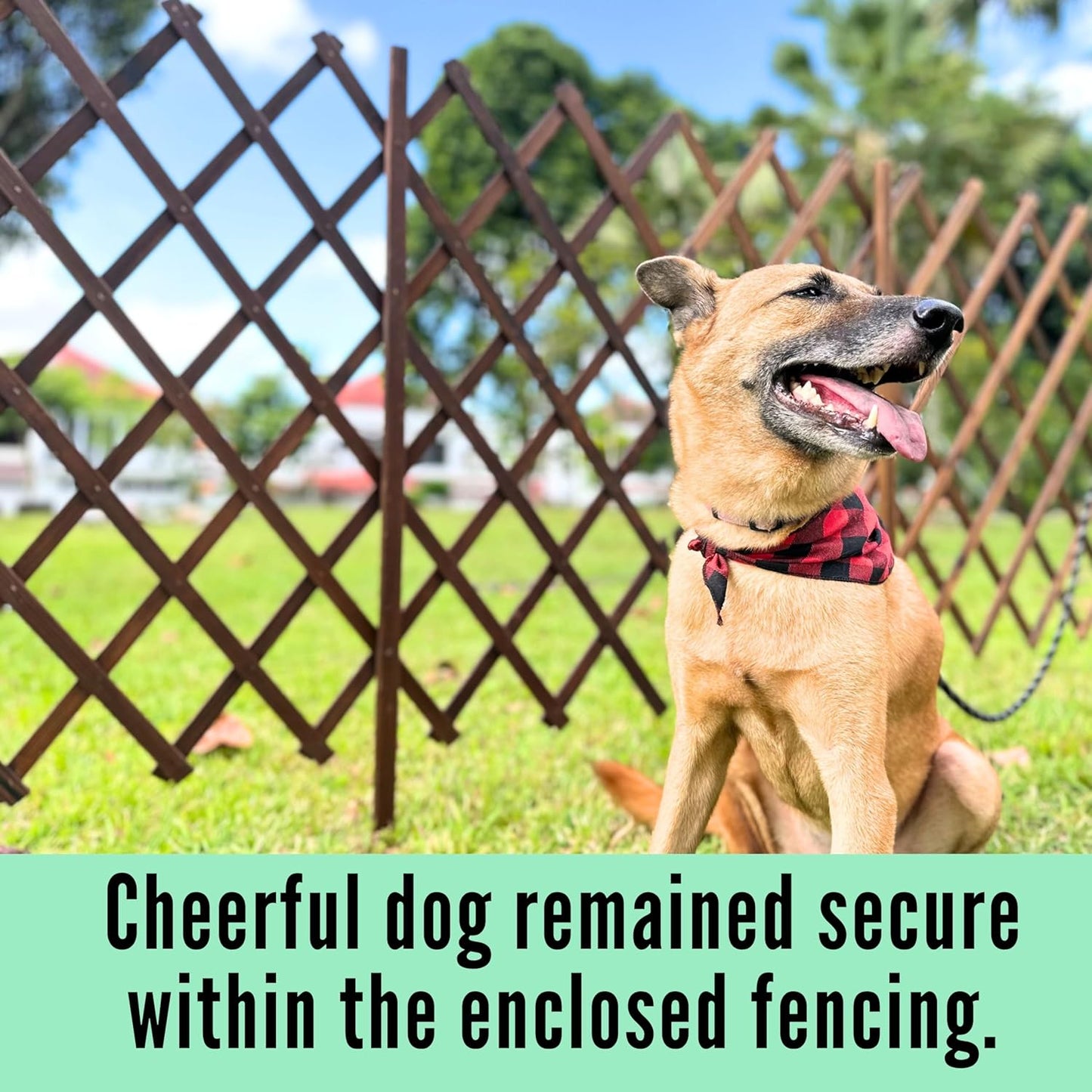 ShopLaLa Garden Fence (2 Pack, Total 12ft (L)) Wooden Lattice Panels for Outside Flower Edging Landscape Patio Outdoor Decor, Expandable Wood Plant Trellis Fences and Gates, Animal Barrier for Dogs