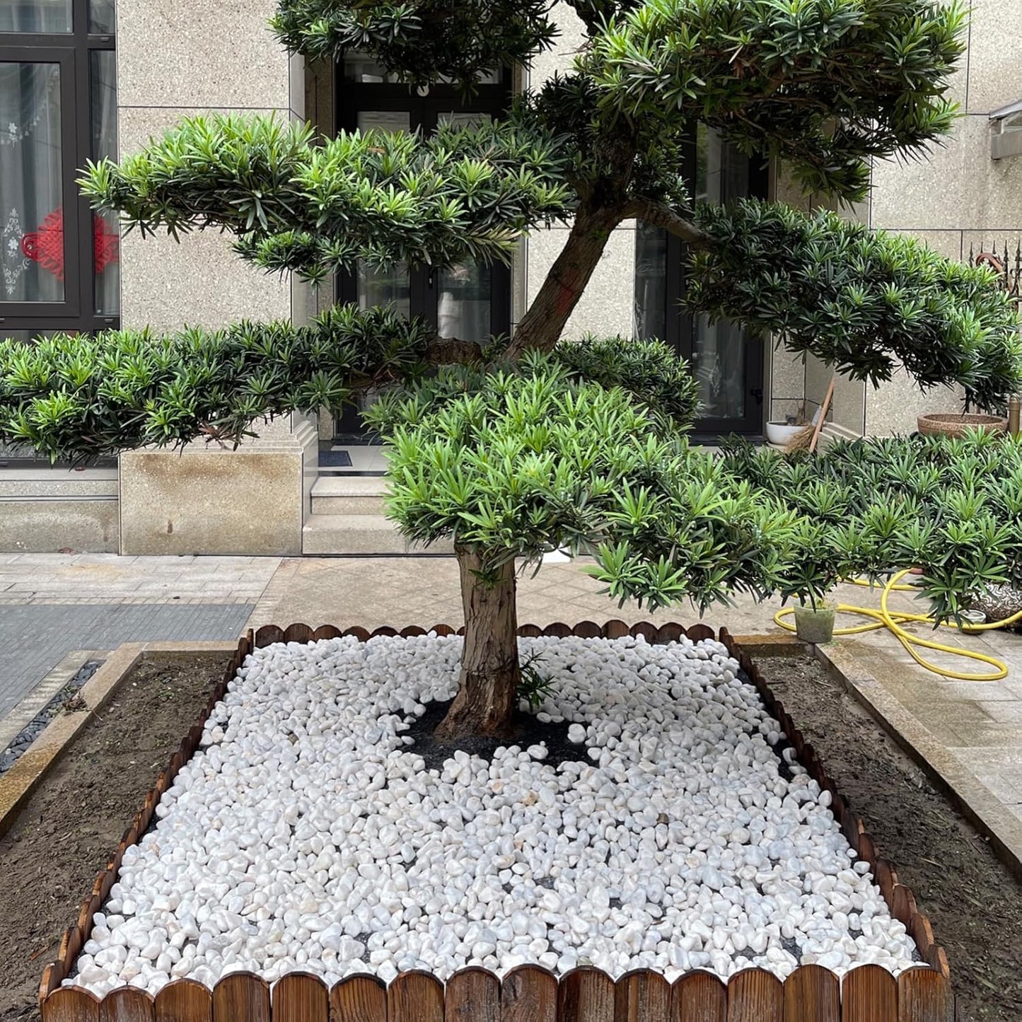 10 lbs White Gravel for Aquarium, 2-3 Inch Large Pebbles for Planters, Decorative River Rocks for Plants Indoor, Landscaping, Vases, Fish Tank, Crafting and Garden