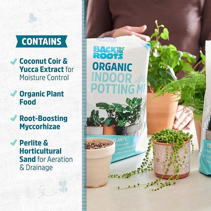 Back to the Roots 100% Organic Indoor Potting Mix (Value 12 Quart) | Promotes Healthy Houseplant Growth| Made in The USA