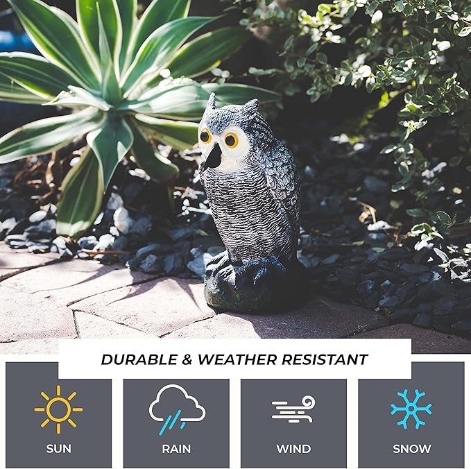 Galashield Owl Decoy to Scare Birds Away | Plastic Owls to Scare Birds Away | Owl Statue for Garden & Outdoors by Galashield [Set of 2]