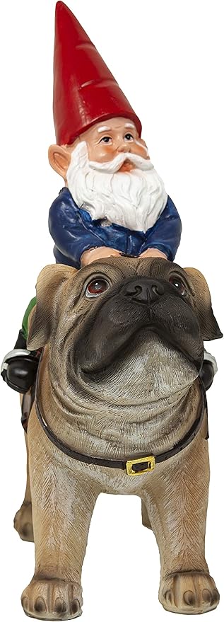 Funny Guy Mugs Garden Gnome Statue - Gnome Riding a Pug - Indoor/Outdoor Garden Gnome Sculpture for Patio, Yard or Lawn