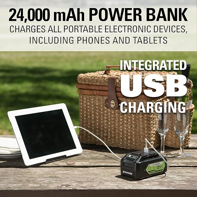 Greenworks 24V 12" Brushless Cordless Compact Chainsaw (Great For Storm Clean-Up, Pruning, and Firewood / 125+ Compatible Tools), Tool Only