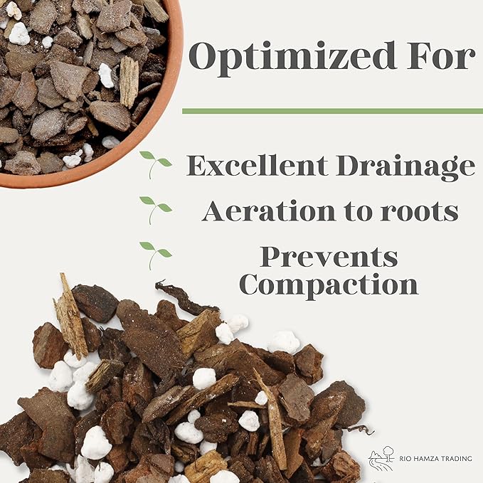 All Purpose Orchid Mix Potting Soil Indoor Plants (2 Quarts), All Natural Bark & Organic Perlite for Plants