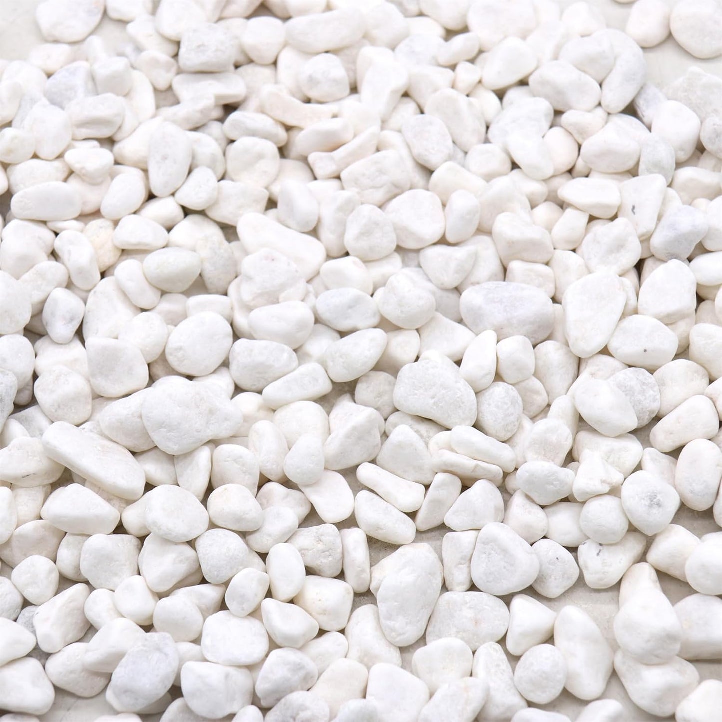 Rocks for Plants. White Decorative Pebbles. 0.5 to 1 Inch 18 lbs. for Garden, Landscaping, Indoor, Vase fillers, Crafting, Succulents, pots, Plants