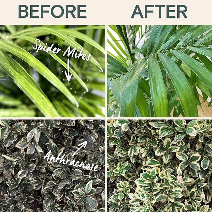 Organic Insecticide & Fungicide for Plants – Indoor & Outdoor Plant – Controls Powdery Mildew, Spider Mites, Aphids, Gnats & More – Safe Pesticide for Houseplant Insect Control, Vegetables & Lawns