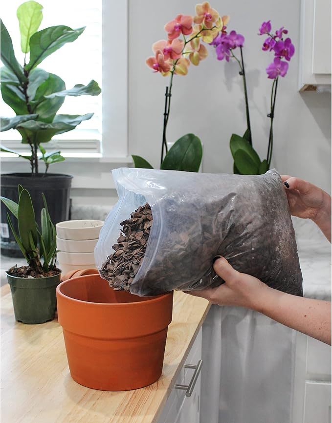 All Purpose Orchid Mix Potting Soil Indoor Plants (2 Quarts), All Natural Bark & Organic Perlite for Plants