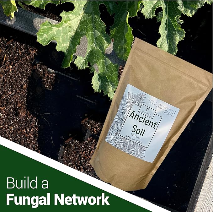 Elm Dirt Premium Ancient Soil for All Plants - Organic for Outdoor & Indoor Use | Garden Soil for Plant Nutrients Growth & Protect from Bugs - Roots Organic (6lbs)