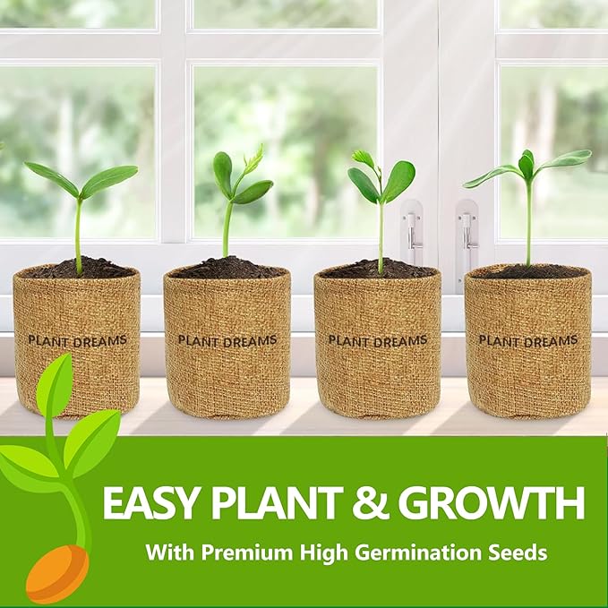 Bonsai Tree Kit, Bonsai Starter Kit with Seeds & Tools, Tree Live Plants Indoor, Gardening Gifts for Women Men Mom Father Plant Lover, Birthday Thanksgiving Christmas Gifts