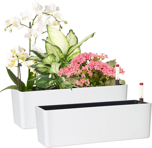 GardenBasix Elongated Self Watering Planter Pots 2-Pack Window Box 5.5 x 16 inch Indoor Home Garden Modern Decorative Planter Pot for All House Plants Flowers Herbs (White,2)