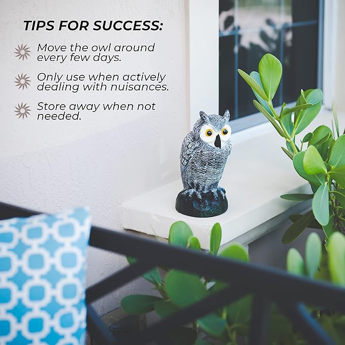 Galashield Owl Decoy to Scare Birds Away | Plastic Owls to Scare Birds Away | Owl Statue for Garden & Outdoors by Galashield [Set of 2]