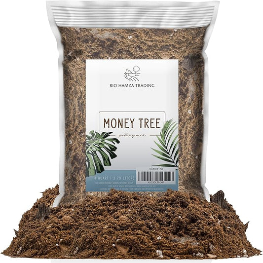Money Tree Soil (4 Quarts), Potting Mix for Planting/Repotting Pachira Aquatica, All-Natural Custom Soil Blend