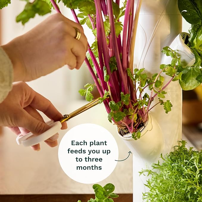 Gardyn Home 4 Vertical Hydroponics Growing System Kit - 30 Non-GMO Plants, Herbs, Vegetables - Smart Tower Garden Hydroponic Herb Garden Planter Indoor Kit - Indoor Gardening System w/LED Grow Lights