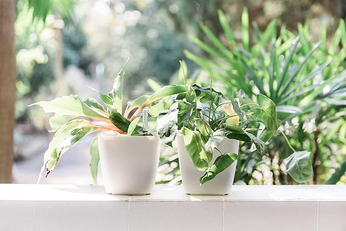GARDENIX DECOR 5" Self Watering pots for Indoor Plants - Flower Pot with Water Level Indicator for Plants, Grow Tracking Tool - Self Watering Planter Plant Pot – 2 Pack White