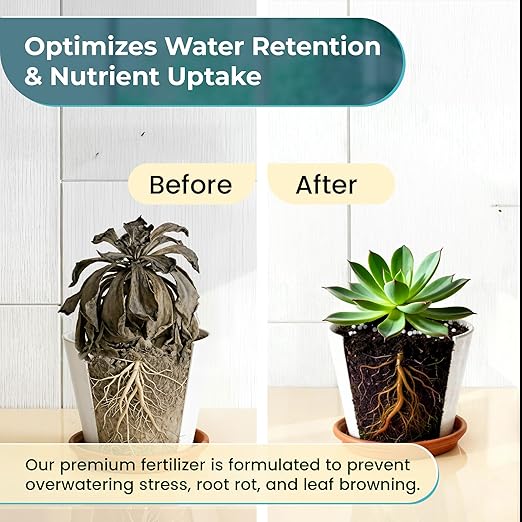 Leaves and Soul Succulent Fertilizer Pellets |13-11-11 Slow Release Pellets for All Cactus and Succulents | Multi-Purpose Blend & Gardening Supplies, No Fillers | 5.2 oz Resealable Packaging