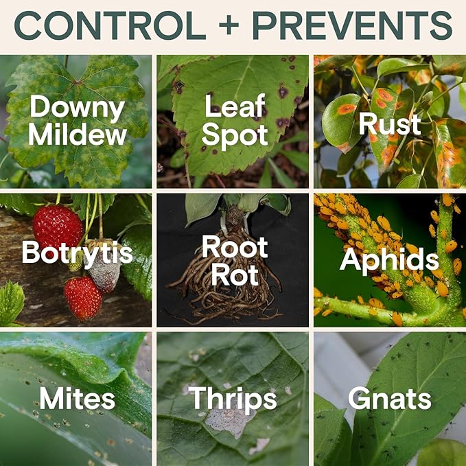 Organic Insecticide & Fungicide for Plants – Indoor & Outdoor Plant – Controls Powdery Mildew, Spider Mites, Aphids, Gnats & More – Safe Pesticide for Houseplant Insect Control, Vegetables & Lawns