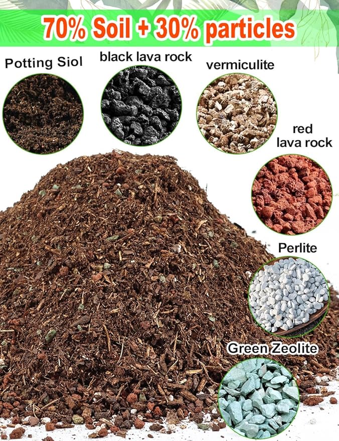 TOYPOPOR Succulent Soil, Cactus Potting Mix 1.25 Pounds/1 Quart, High Drainage, Pre-Mixed Ready to Use for All Succulent Varieties, Indoor Plants, Bonsai, Terrarium, Houseplant, 30% Particles 70% Soil