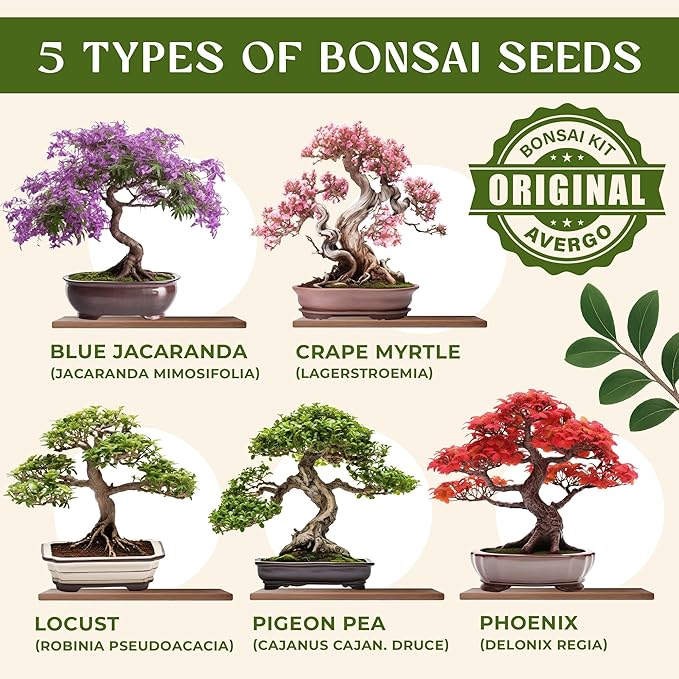 AVERGO Bonsai Tree Kit for Beginners – 5X Unique Japanese Bonzai Trees | Complete Indoor Starter Kit for Growing Bonsai Plants with Tools & Planters – Gardening Gifts for Women & Men
