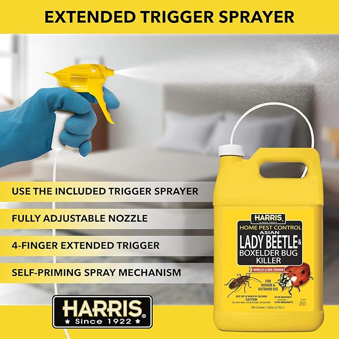 Harris Asian Lady Beetle, Japanese Beetle, and Box Elder Killer, Liquid Spray with Odorless and Non-Staining Extended Residual Kill Formula (Gallon)