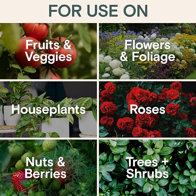 Organic Fungicide Liquid Concentrate for Indoor, Outdoor, and House Plants – Natural Fungicide for Plants, Lawn Fungus Treatment, Powdery Mildew Control, Mushroom Lawn Treatment, Spider Mite Defense