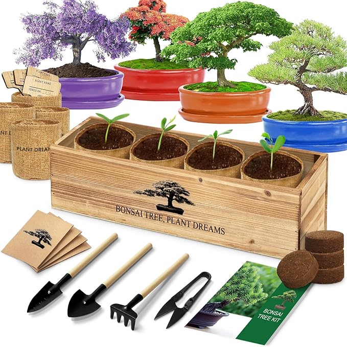 Bonsai Tree Kit, Bonsai Starter Kit with Seeds & Tools, Tree Live Plants Indoor, Gardening Gifts for Women Men Mom Father Plant Lover, Birthday Thanksgiving Christmas Gifts