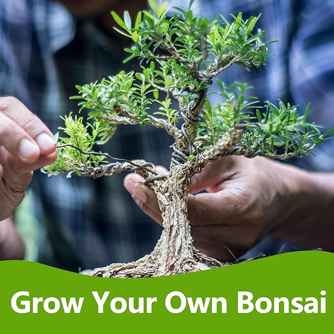 Bonsai Tree Kit, Bonsai Starter Kit with Seeds & Tools, Tree Live Plants Indoor, Gardening Gifts for Women Men Mom Father Plant Lover, Birthday Thanksgiving Christmas Gifts