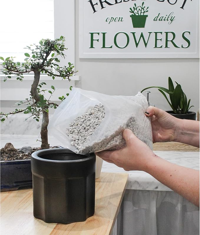 Horticultural Bonsai Pumice Soil Amendment (2 LB), Supplement for Bonsai and Cactus Indoor Plants