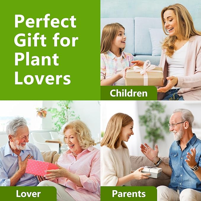 Bonsai Tree Kit, Bonsai Starter Kit with Seeds & Tools, Tree Live Plants Indoor, Gardening Gifts for Women Men Mom Father Plant Lover, Birthday Thanksgiving Christmas Gifts