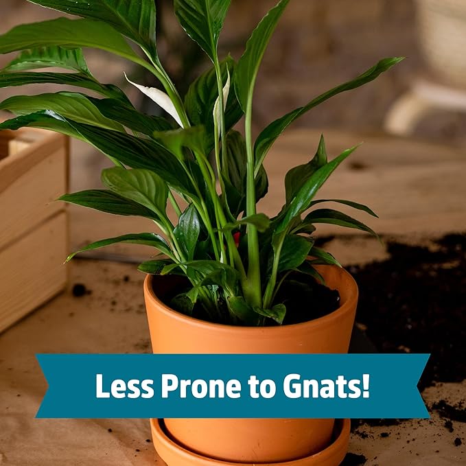 Back to the Roots Organic Indoor Soil Compressed Block Expands to 6 Quarts