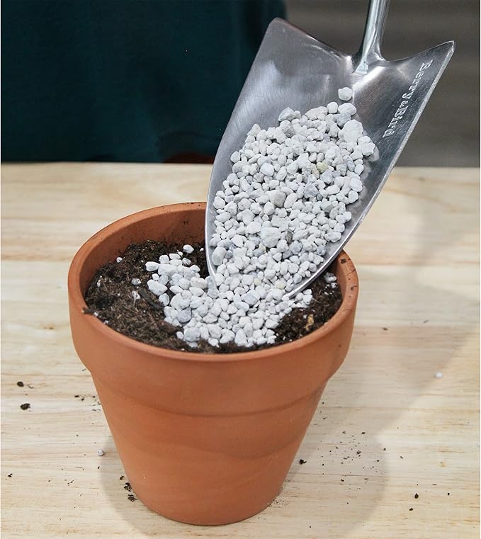 Horticultural Bonsai Pumice Soil Amendment (2 LB), Supplement for Bonsai and Cactus Indoor Plants