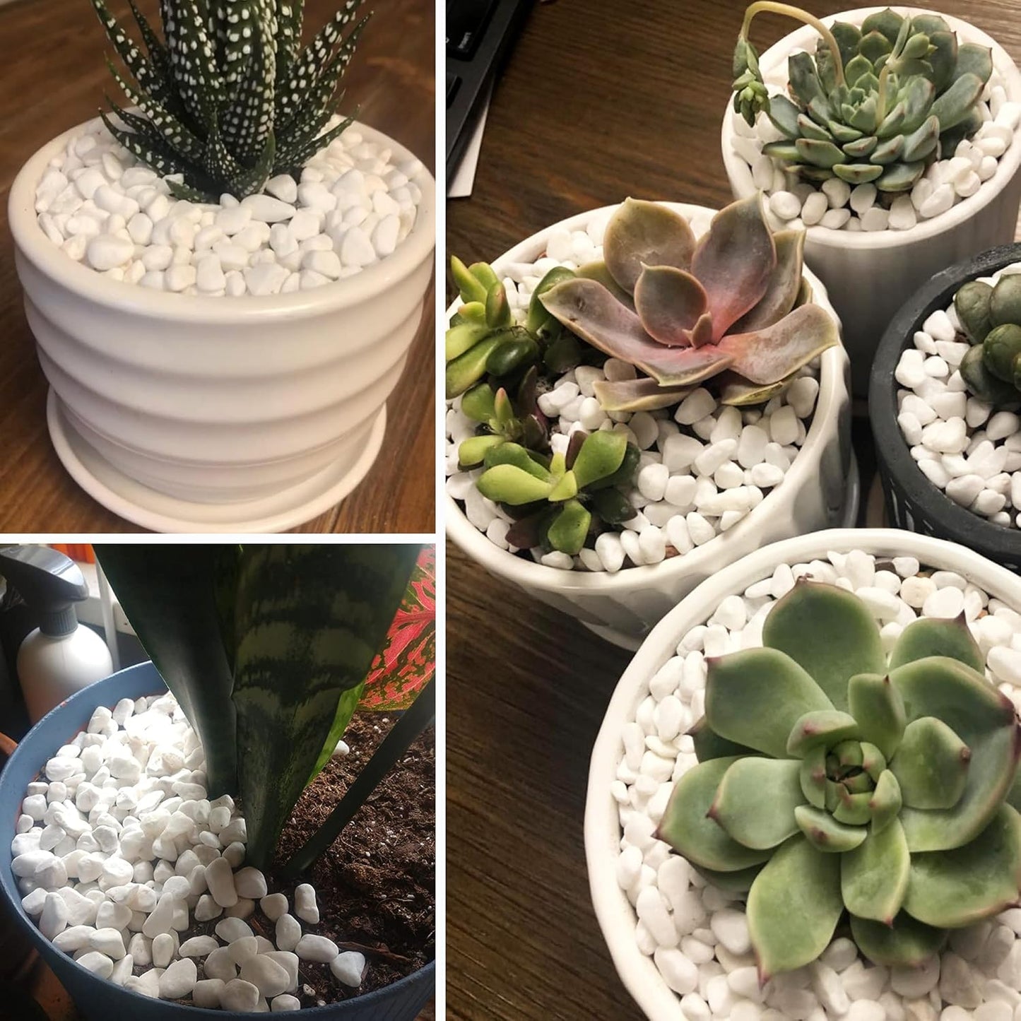 Anothera 18-lb Bulk Bag White Pebbles 1/2" Size Aquarium Gravel Outdoor Garden Paving Plant Decorative Stones…