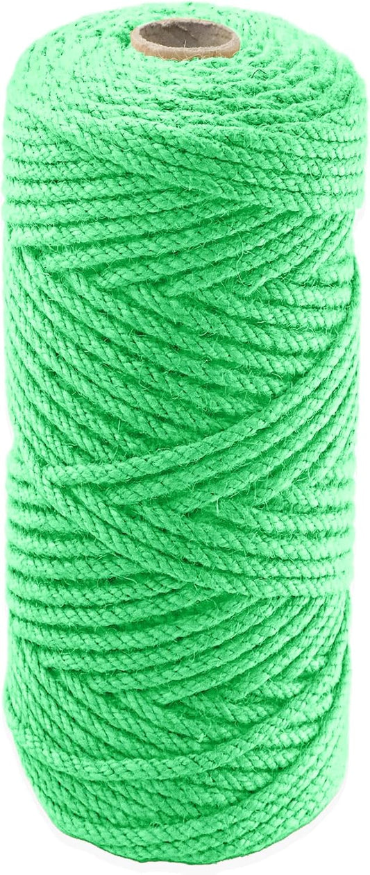 4mm x 100 Feet Light Green Jute Rope, Twine for Gardening Tomato Climbing Plant Tie Floristry Crafts Gift Wrapping Packing Decor