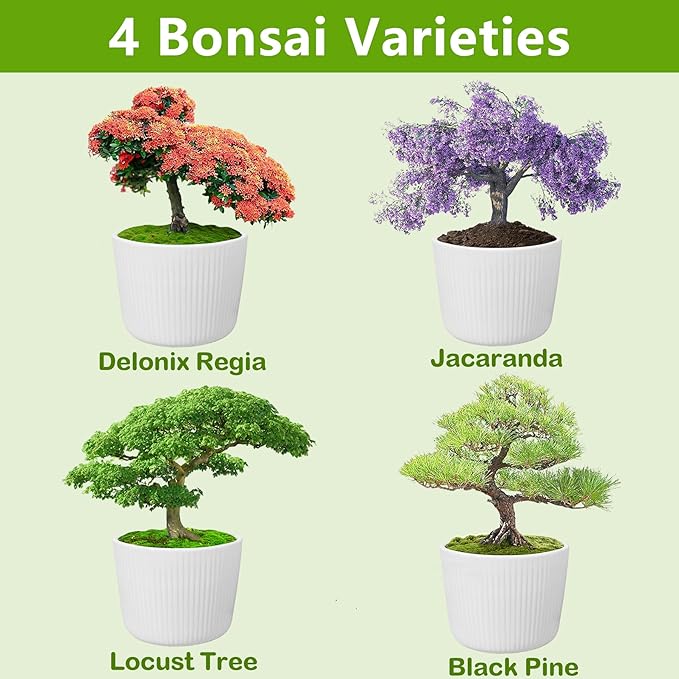 Bonsai Tree Kit, Bonsai Starter Kit with Seeds & Tools, Tree Live Plants Indoor, Gardening Gifts for Women Men Mom Father Plant Lover, Birthday Thanksgiving Christmas Gifts