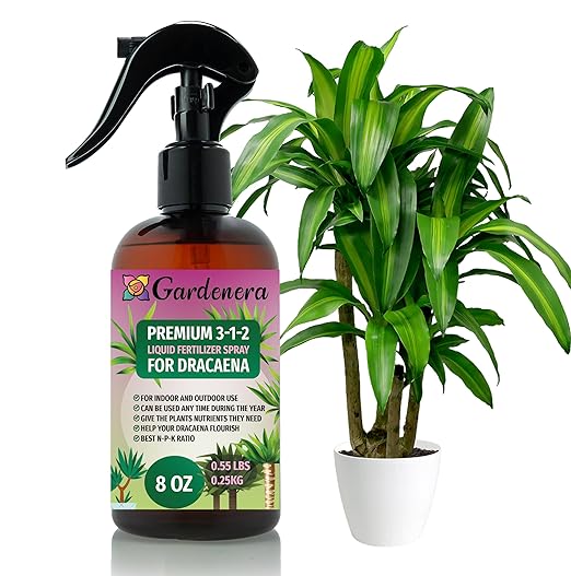 Gardenera Proffesional Dracaena Spray Fertilizer Mist for Home Gardening | 3-1-2 Gentle Blend Mist for Healthy Leaves & Growth | Essential Nutrients for Dracaena Plants - 8oz