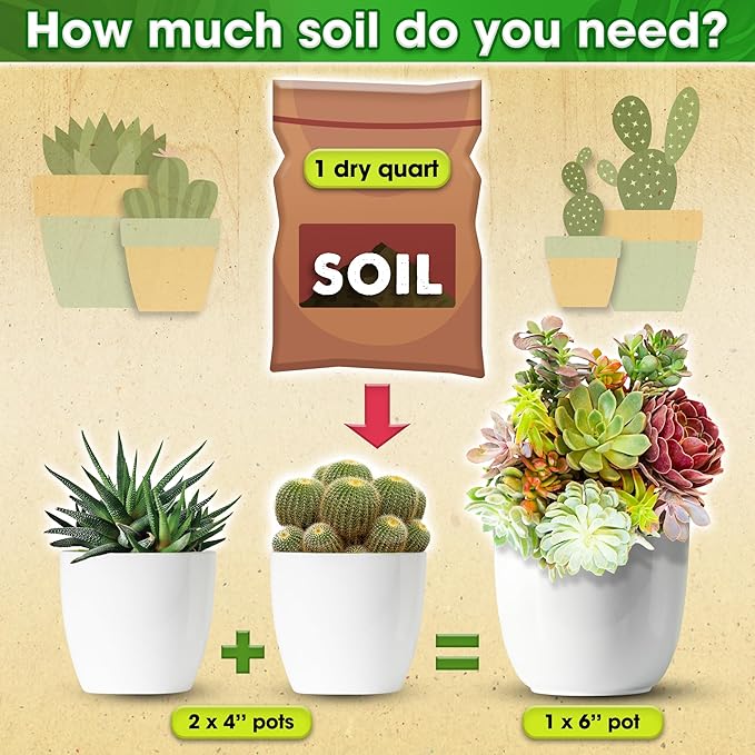DUSPRO Succulents Soil Potting Mix – 7 in 1 Ingredients Well-Draining, Nutrient-Rich Cactus Potting Soil for Succulents and Cacti, Indoor & Outdoor Use, Ready to Use, Supports Healthy Root Growth, 2QT