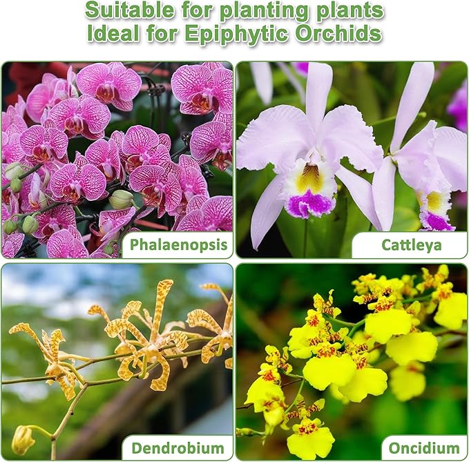 Orchid Potting Mix - 9QT Fast-Draining Soil with Pine Bark, Perlite, Moss & Leca Clay, Breathable Mix for Healthy Roots,Ideal for Repotting & Indoor Orchid Plants