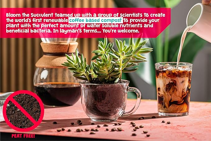 High Drainage Succulent Soil Potting Mix with Coffee Compost & Mycorrhizhal Fungi - 4 Dry Quarts - Slighly Acidic, Gritty Soil for Edgy Plants - Spike & Bloom