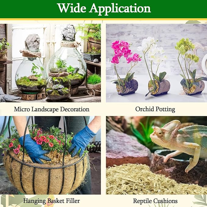 Legigo 1.1lb Natural Sphagnum Moss for Plants, 20QT Long Fiber Orchid Moss Potting Mix, Dried Sphagnum Moss for Plants Indoor, Orchid Repotting, Succulent, Carnivorous Plants, Terrarium and Reptiles