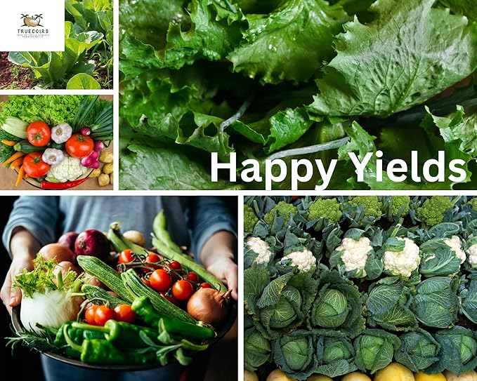 10 LB Premium Organic Coco Coir Compressed Natural Brick with Low EC and PH Balance - High Expansion for Indoor and Outdoor Potting Soil, Renewable Coco Soil for Gardening