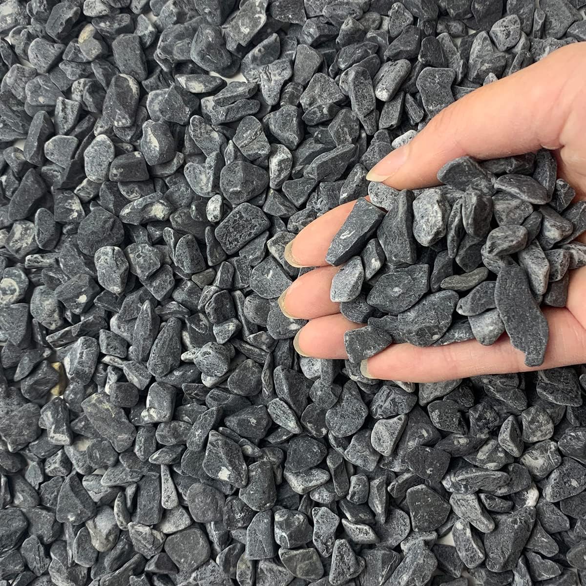 10LB Black Pea Gravel for Landscaping, 3/8 Inch Black Pebbles for Plants Cactus Succulent Fish Tank and Garden Black Stones