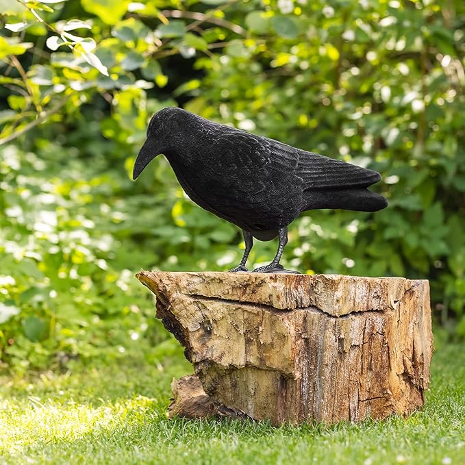 Navaris Crow Statues (Pack of 2) - Fake Black Crow Figure - Crows Bird Figures to Stand or Hang as Halloween Birds Decoration - Yard, Garden, Deck, Patio